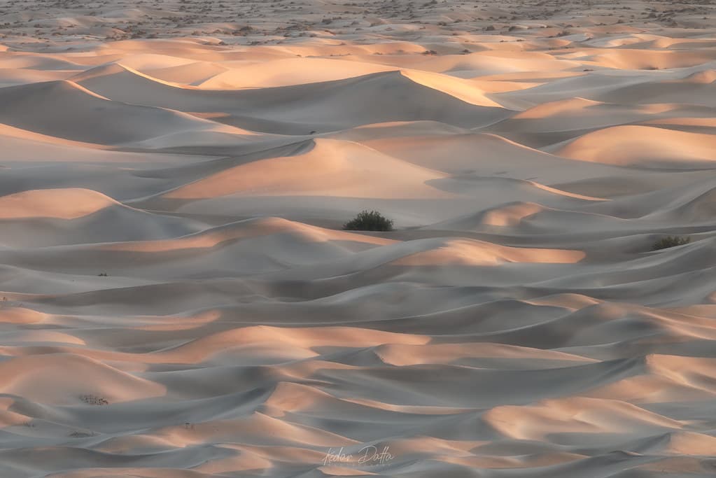 Leaving winter behind